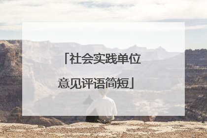 社会实践单位意见评语简短