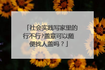 社会实践写家里的行不行?盖章可以随便找人盖吗？
