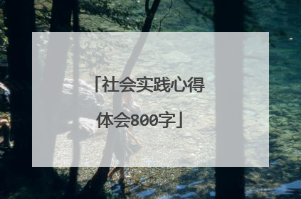 社会实践心得体会800字