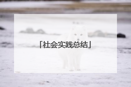 社会实践总结