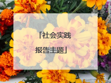 社会实践报告主题
