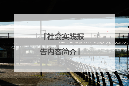 社会实践报告内容简介