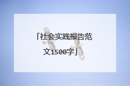 社会实践报告范文1500字