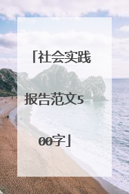 社会实践报告范文500字