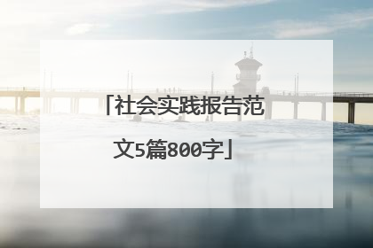 社会实践报告范文5篇800字