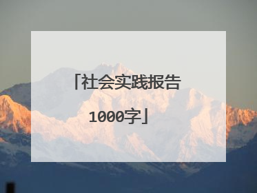 社会实践报告1000字