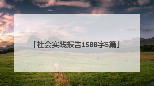 社会实践报告1500字5篇