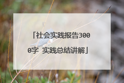 社会实践报告3000字 实践总结讲解