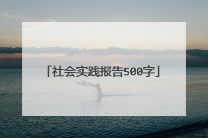 社会实践报告500字