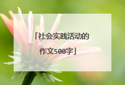 社会实践活动的作文500字