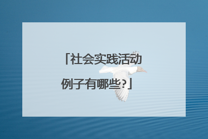 社会实践活动例子有哪些?
