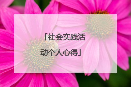 社会实践活动个人心得