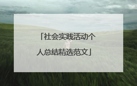 社会实践活动个人总结精选范文