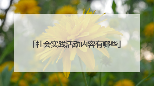 社会实践活动内容有哪些