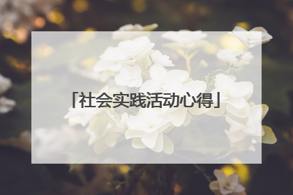 社会实践活动心得
