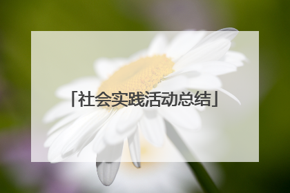 社会实践活动总结