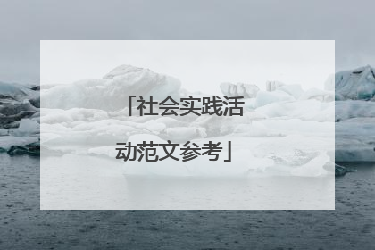 社会实践活动范文参考
