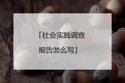 社会实践调查报告怎么写