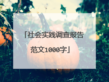 社会实践调查报告范文1000字