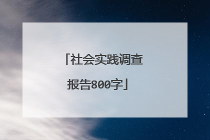 社会实践调查报告800字