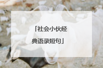 社会小伙经典语录短句