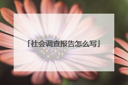 社会调查报告怎么写