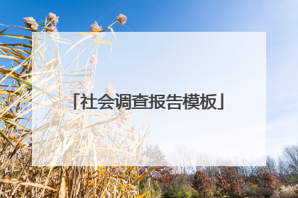 社会调查报告模板