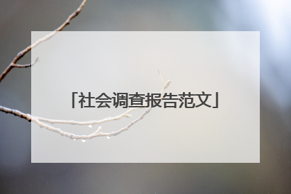 社会调查报告范文