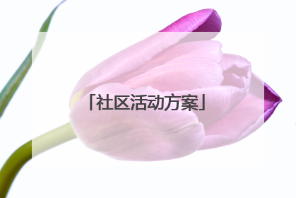 社区活动方案