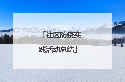 社区防疫实践活动总结