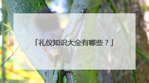礼仪知识大全有哪些?
