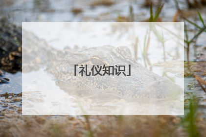 礼仪知识