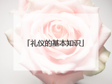 礼仪的基本知识