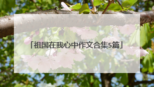 祖国在我心中作文合集5篇