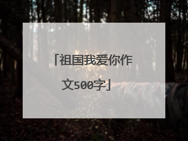 祖国我爱你作文500字