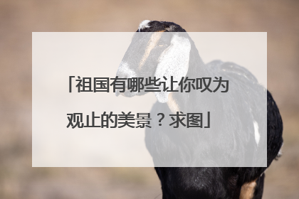 祖国有哪些让你叹为观止的美景?求图