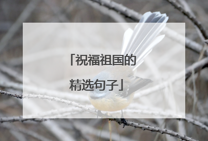 祝福祖国的精选句子