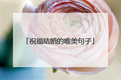 祝福结婚的唯美句子
