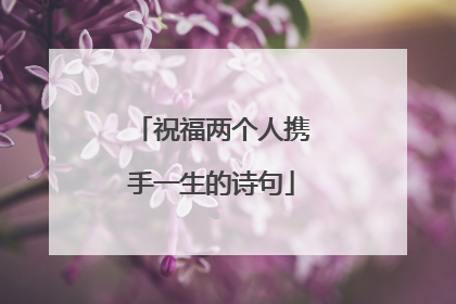 祝福两个人携手一生的诗句