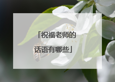 祝福老师的话语有哪些