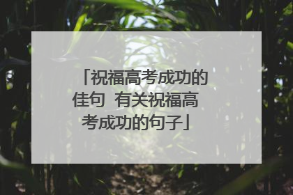祝福高考成功的佳句 有关祝福高考成功的句子