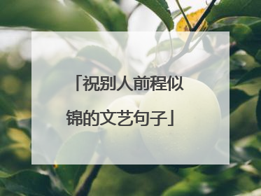 祝别人前程似锦的文艺句子