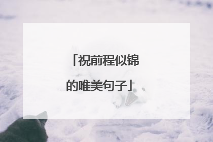 祝前程似锦的唯美句子