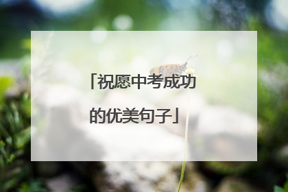 祝愿中考成功的优美句子