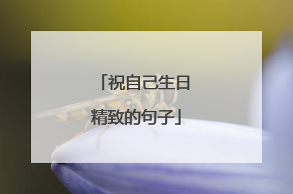 祝自己生日精致的句子