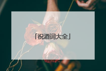 祝酒词大全