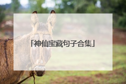 神仙宝藏句子合集