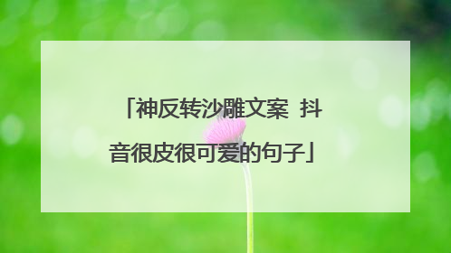 神反转沙雕文案 抖音很皮很可爱的句子