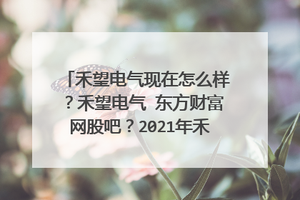 禾望电气现在怎么样？禾望电气 东方财富网股吧？2021年禾望电气分红了没有？