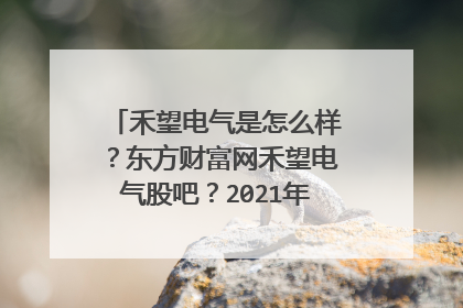 禾望电气是怎么样？东方财富网禾望电气股吧？2021年禾望电气会分红？